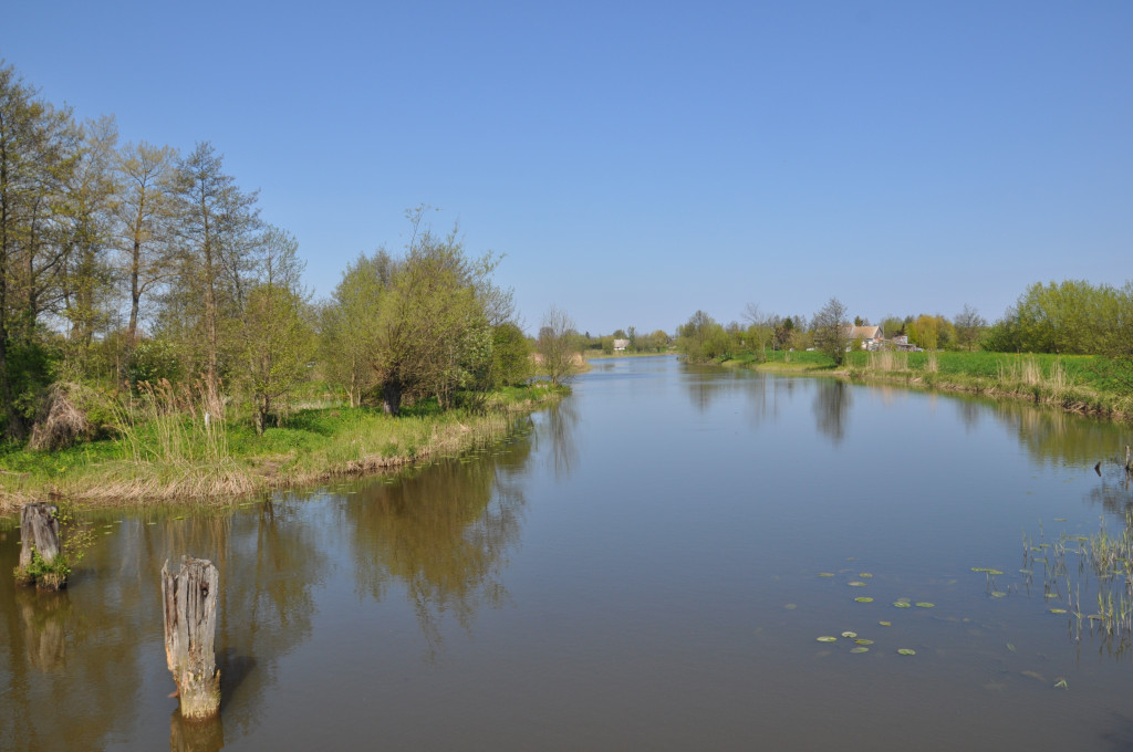 Żuławska kolej wąskotorowa