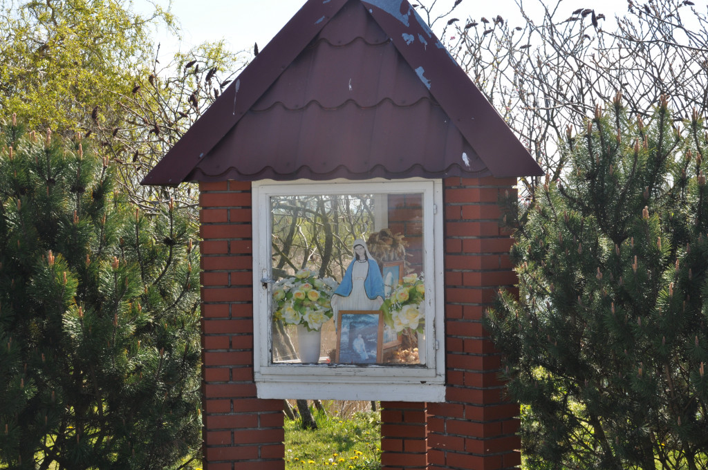Żuławska kolej wąskotorowa