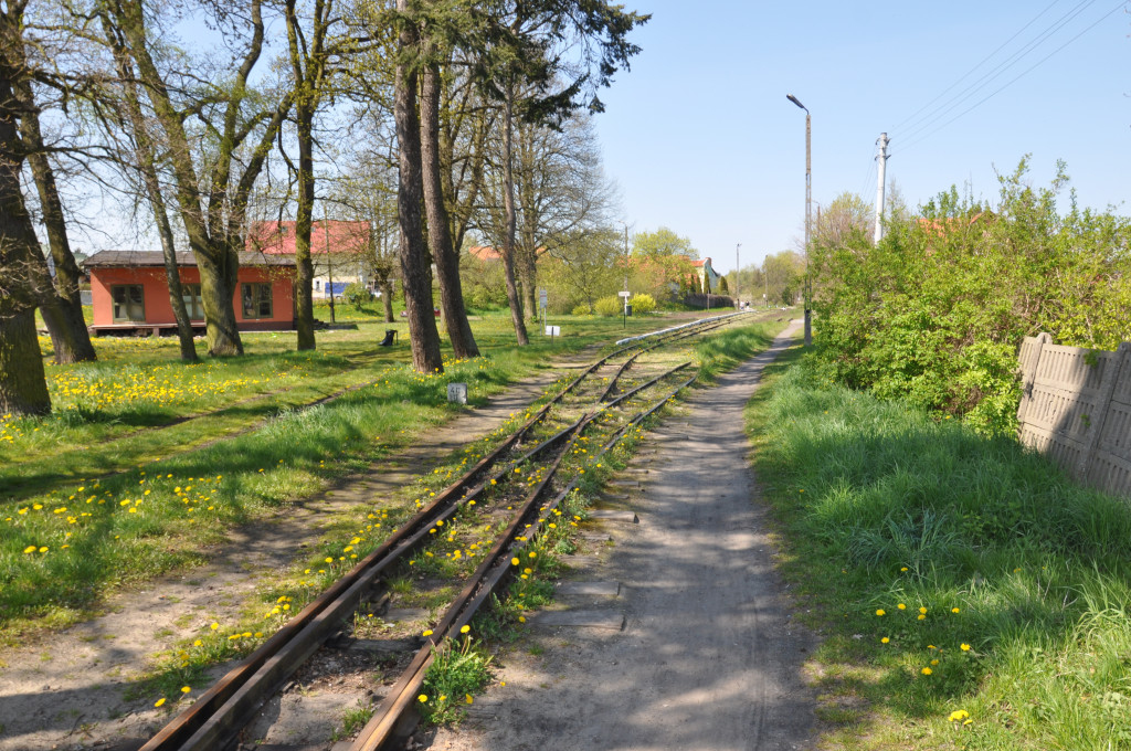 Żuławska kolej wąskotorowa
