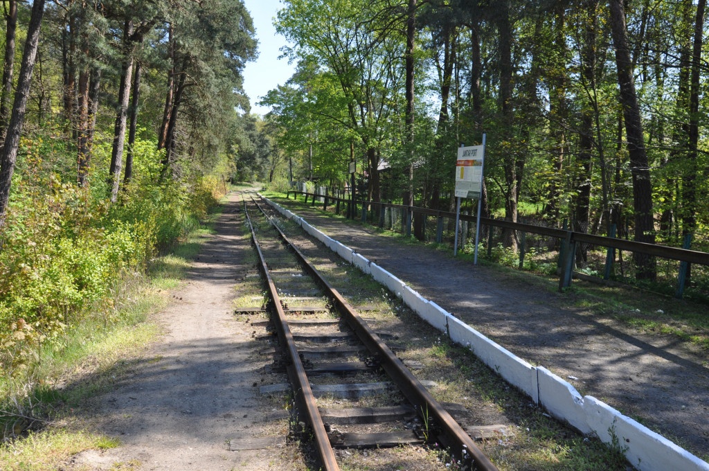 Żuławska kolej wąskotorowa