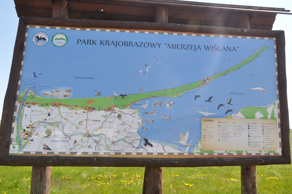 Żuławska kolej wąskotorowa
