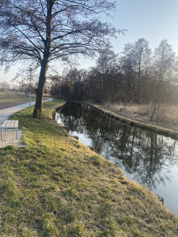 Wczesnowiosenny, pozamiejski nurt Raduni