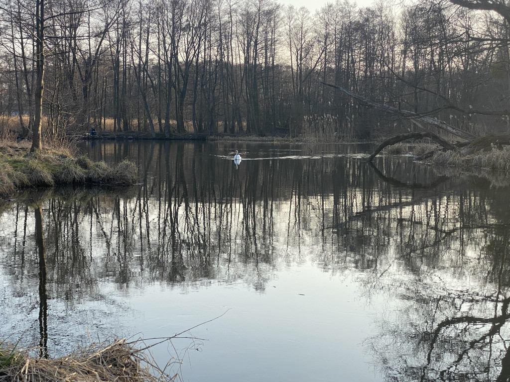 Wczesnowiosenny, pozamiejski nurt Raduni