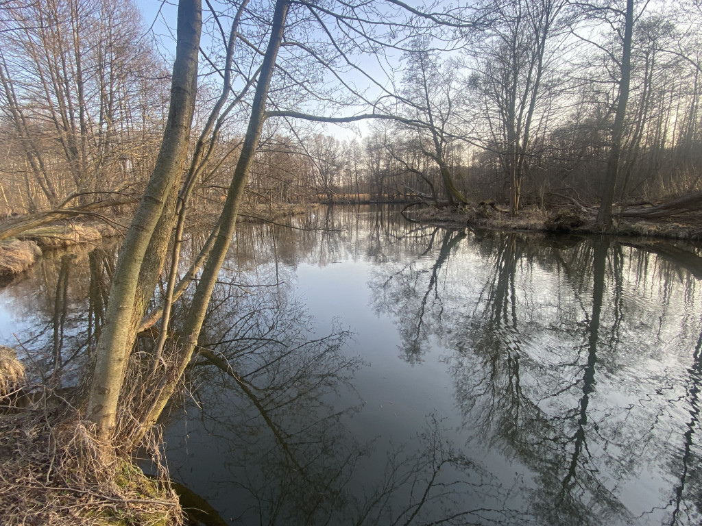 Wczesnowiosenny, pozamiejski nurt Raduni