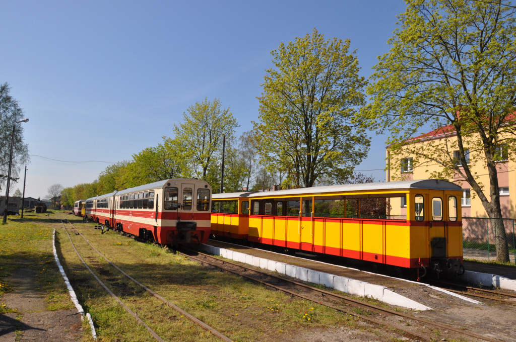 Żuławska kolej wąskotorowa