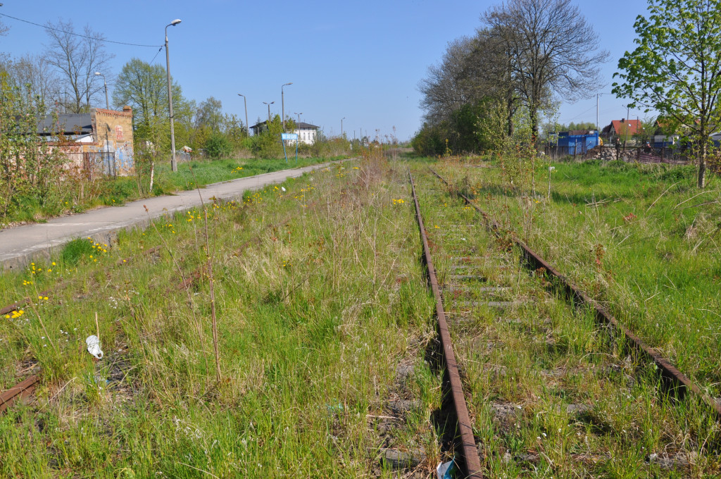 Żuławska kolej wąskotorowa