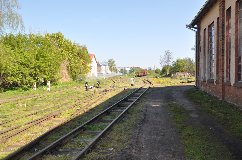 Żuławska kolej wąskotorowa