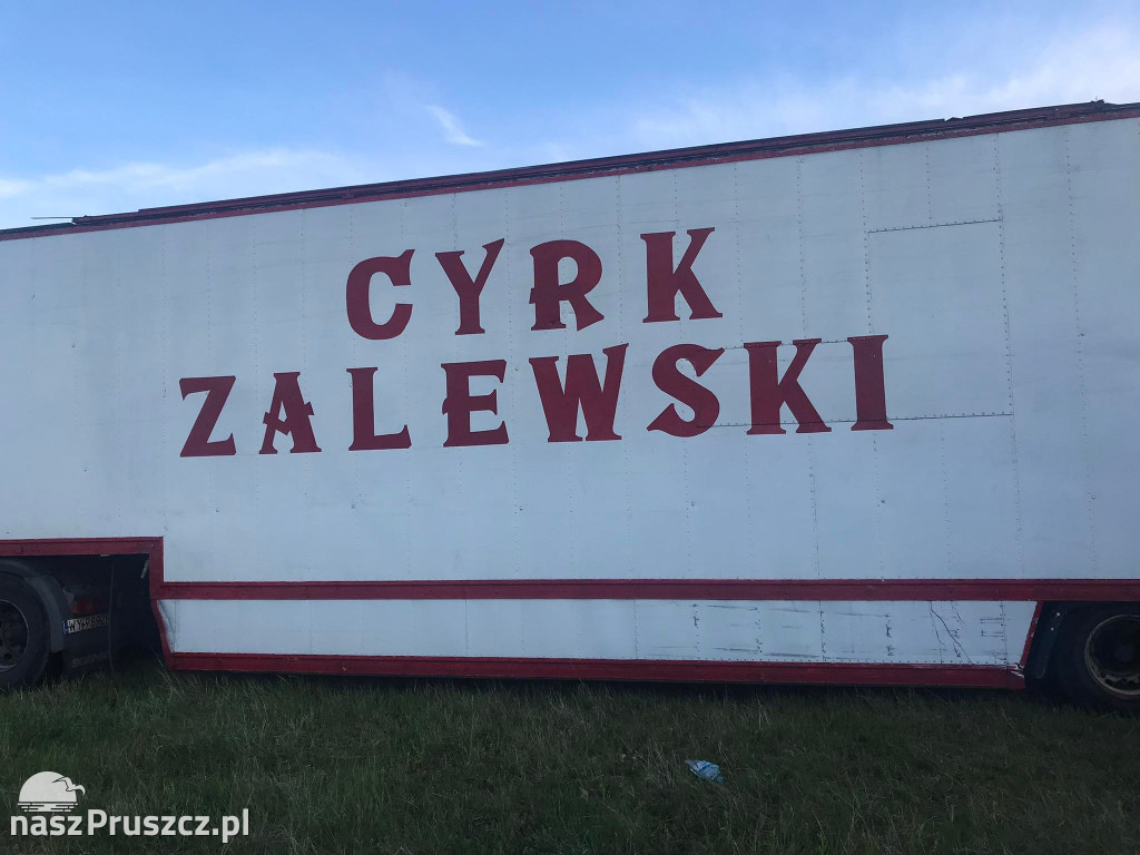 Cyrk Zalewski wystąpił dla pruszczańskich dzieci