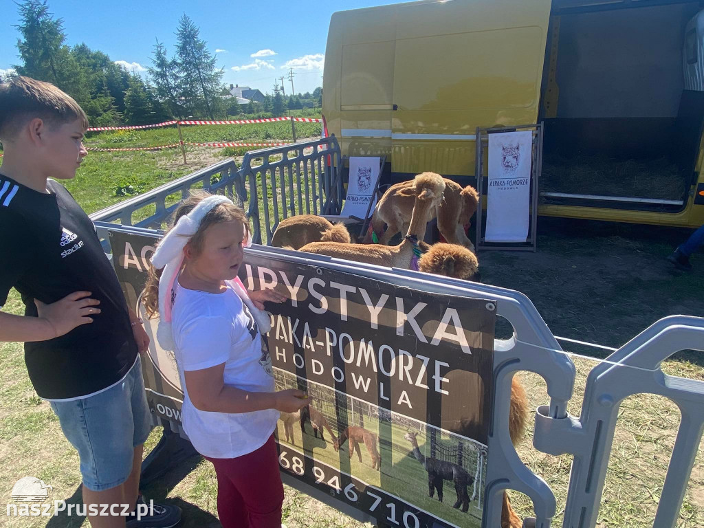 Dzień Dziecka w Cedrach Wielkich