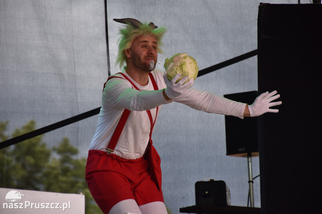 Przygody Koziołka Matołka - Faktoria Kultury 2022
