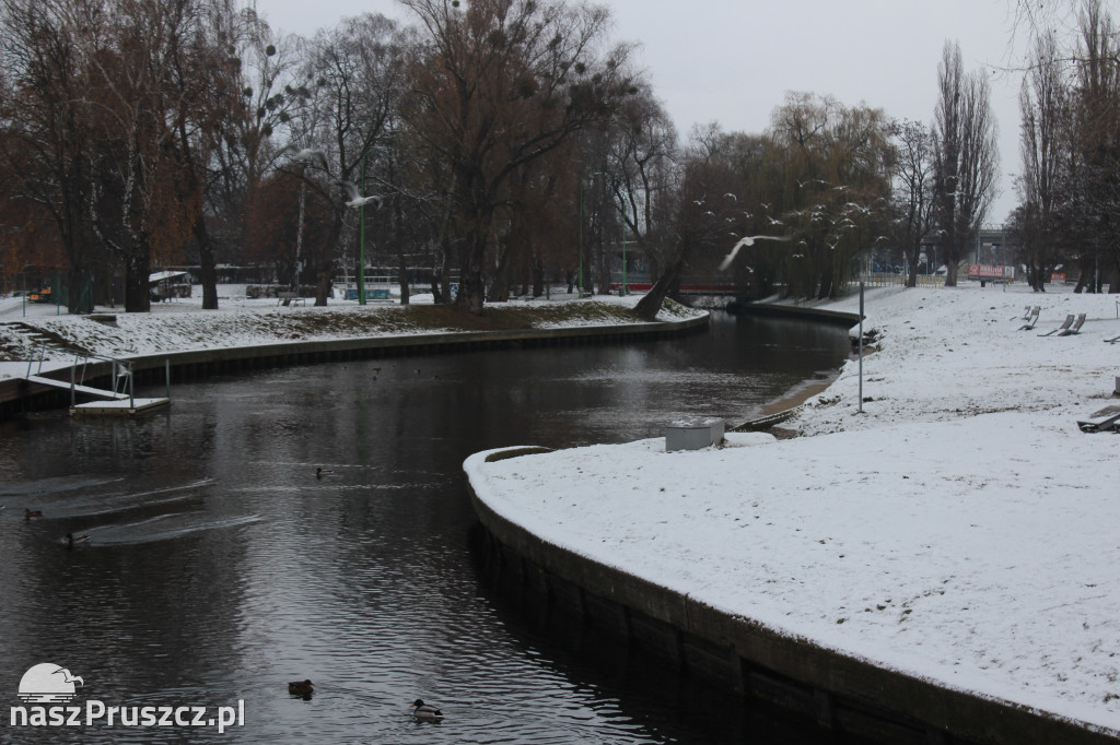Grudniowy spacer po Pruszczu Gdańskim