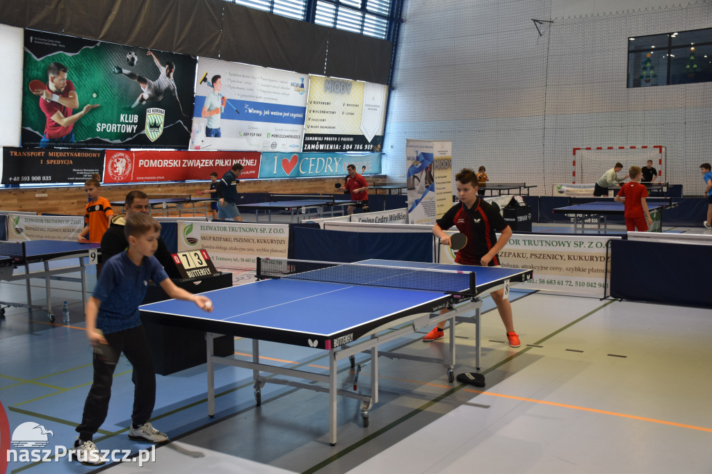 Zimowe Grand Prix w tenisie stołowym