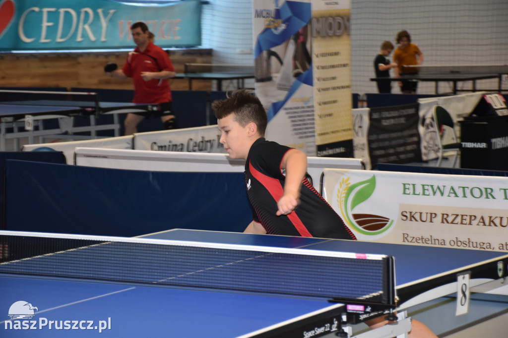 Zimowe Grand Prix w tenisie stołowym