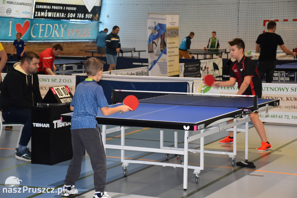 Zimowe Grand Prix w tenisie stołowym