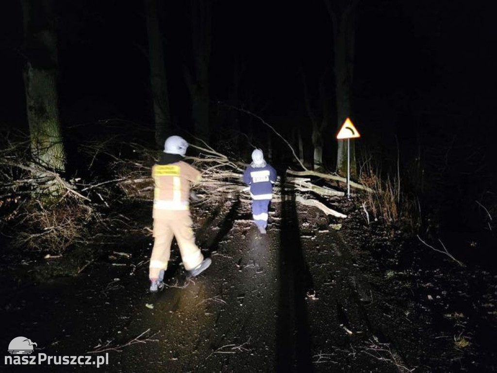 Wichury w powiecie gdańskim