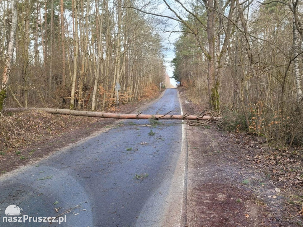 Wichury w powiecie gdańskim