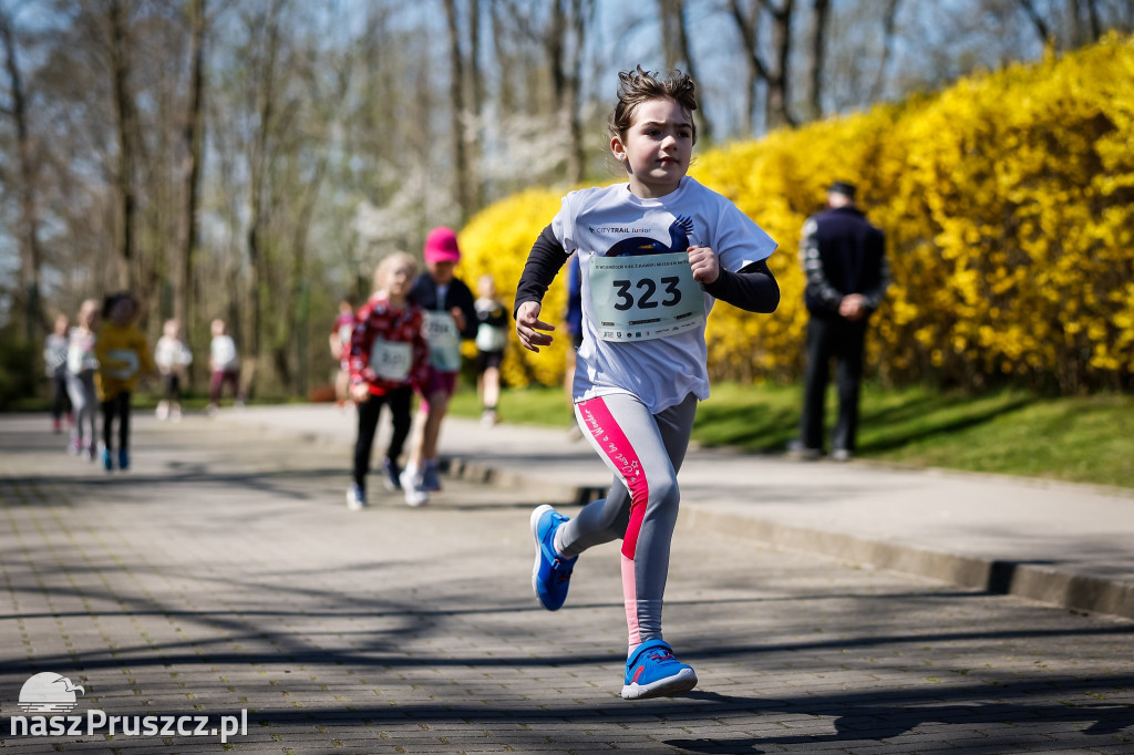 IX Wojewódzki Bieg Żuławski Brzegiem Motławy