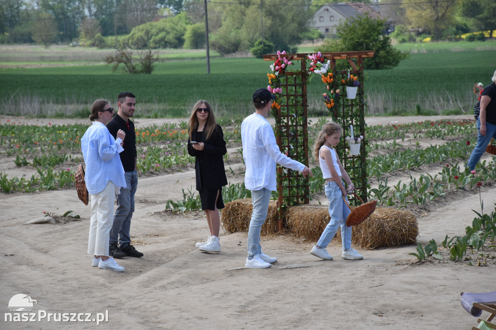 Piknik Żeglarski w Cedrach Wielkich