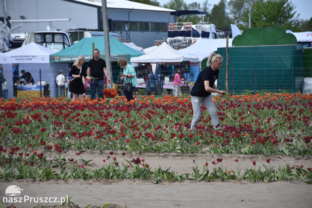 Piknik Żeglarski w Cedrach Wielkich