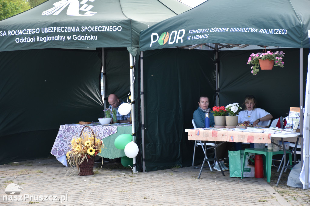 Piknik Żeglarski w Cedrach Wielkich