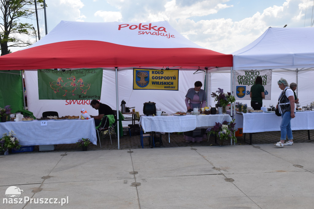 Piknik Żeglarski w Cedrach Wielkich