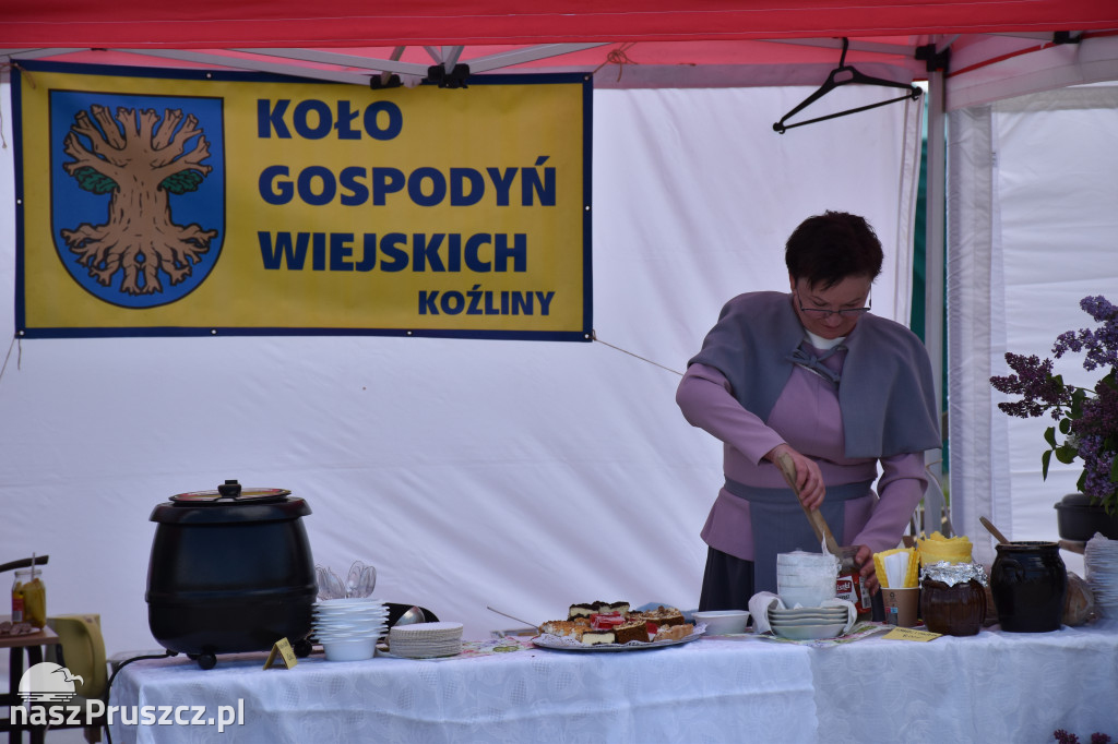 Piknik Żeglarski w Cedrach Wielkich
