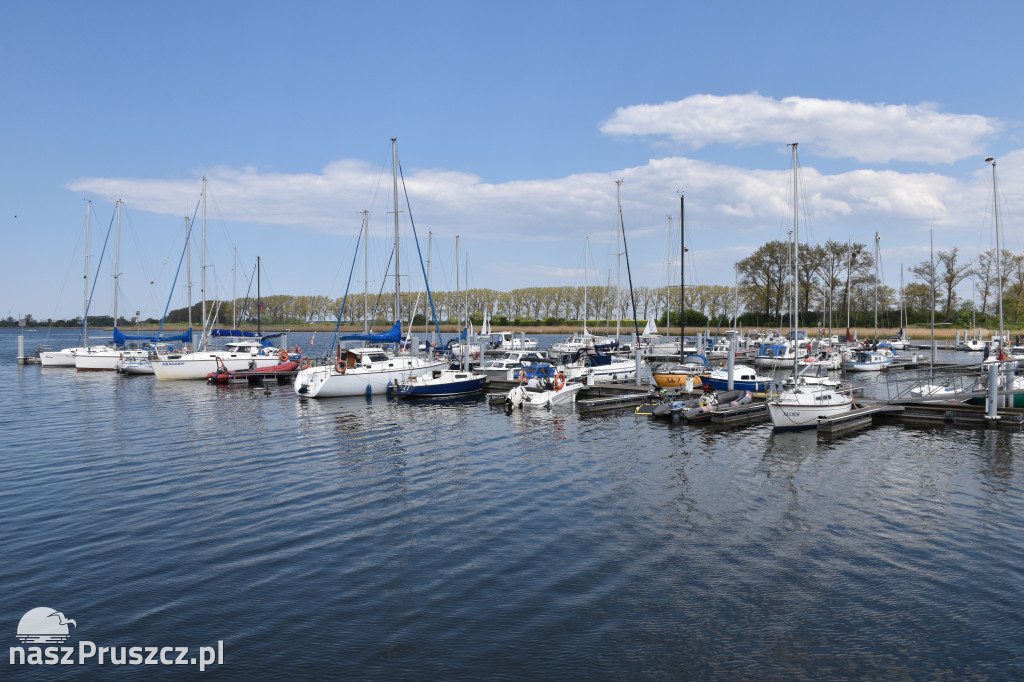 Piknik Żeglarski w Cedrach Wielkich