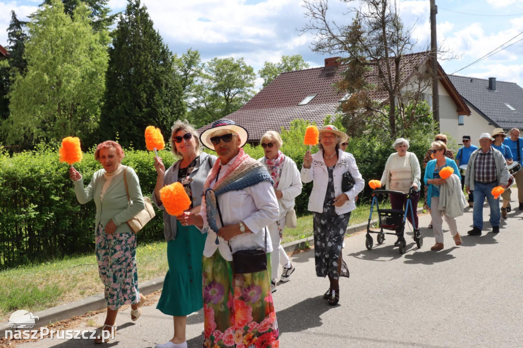 Przemarsz ulicami Kolbud - Dni Gminy Kolbudy