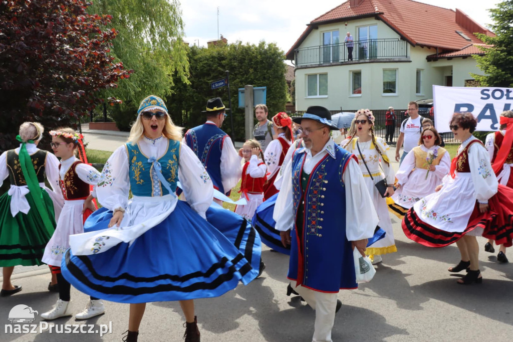 Przemarsz ulicami Kolbud - Dni Gminy Kolbudy