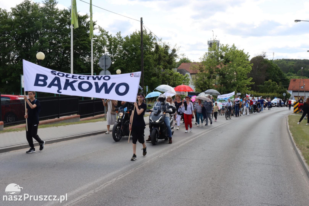 Przemarsz ulicami Kolbud - Dni Gminy Kolbudy