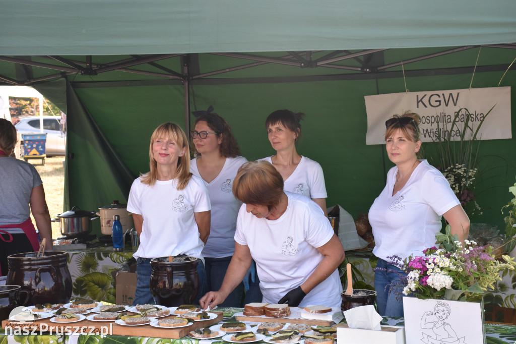 50-lecie gminy Pruszcz Gdański. Piknik w Juszkowie