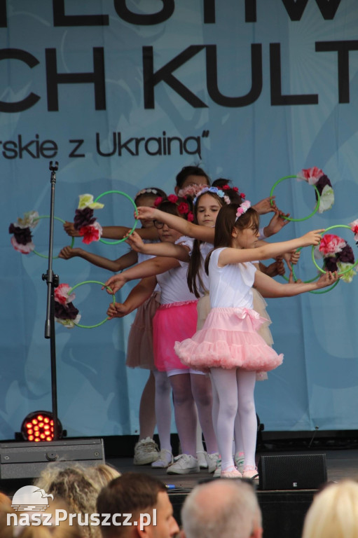 50-lecie gminy Pruszcz Gdański. Piknik w Juszkowie