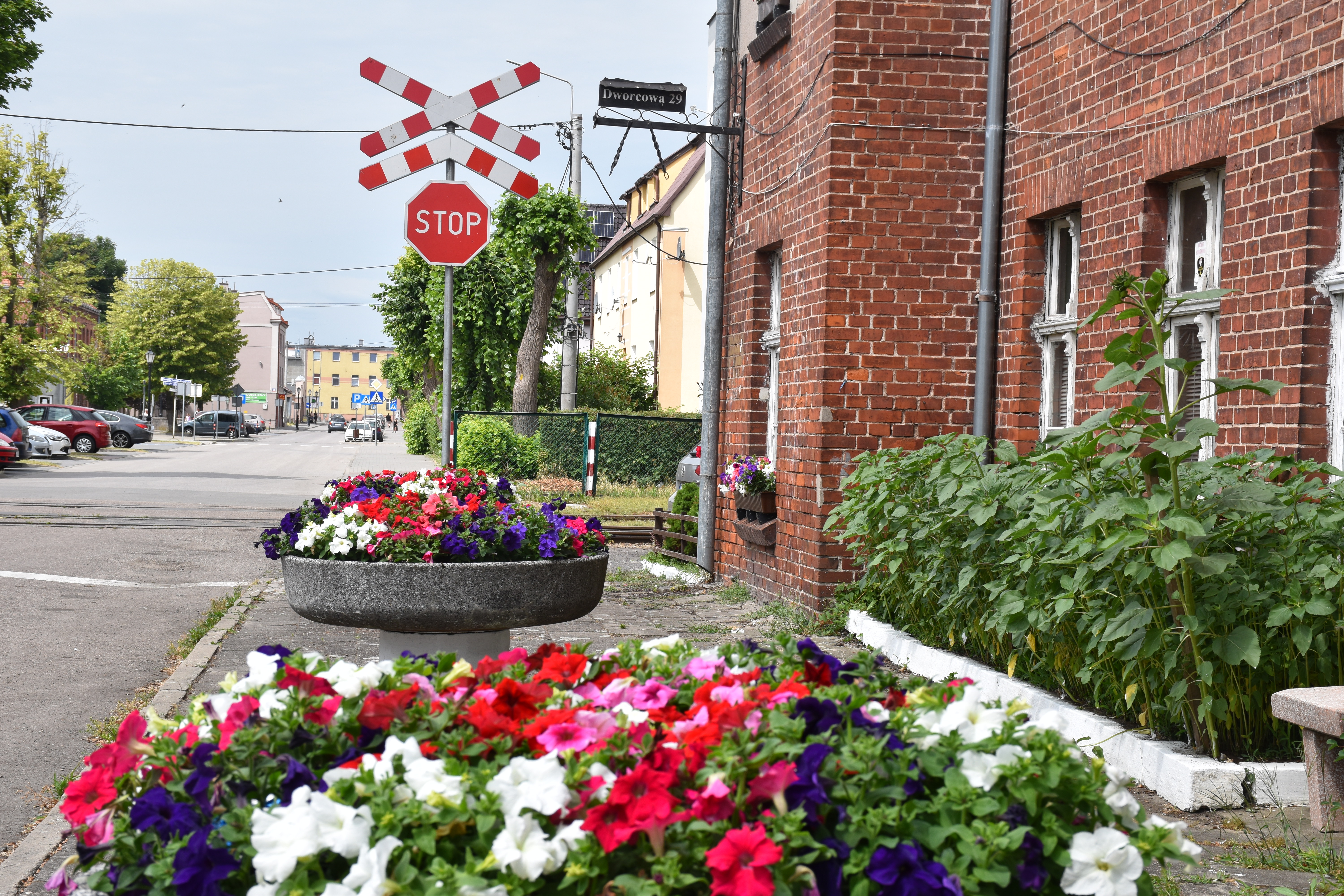 Żuławska Kolej Dojazdowa- Nowy Dwór Gdański