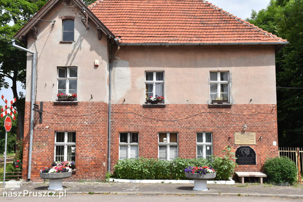 Żuławska Kolej Dojazdowa- Nowy Dwór Gdański
