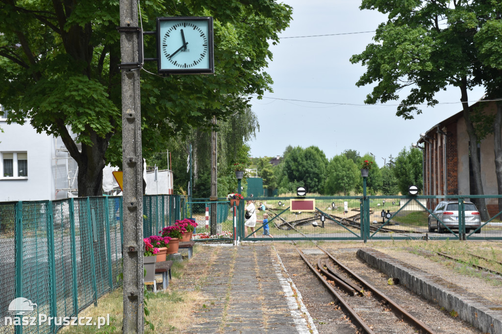 Żuławska Kolej Dojazdowa- Nowy Dwór Gdański