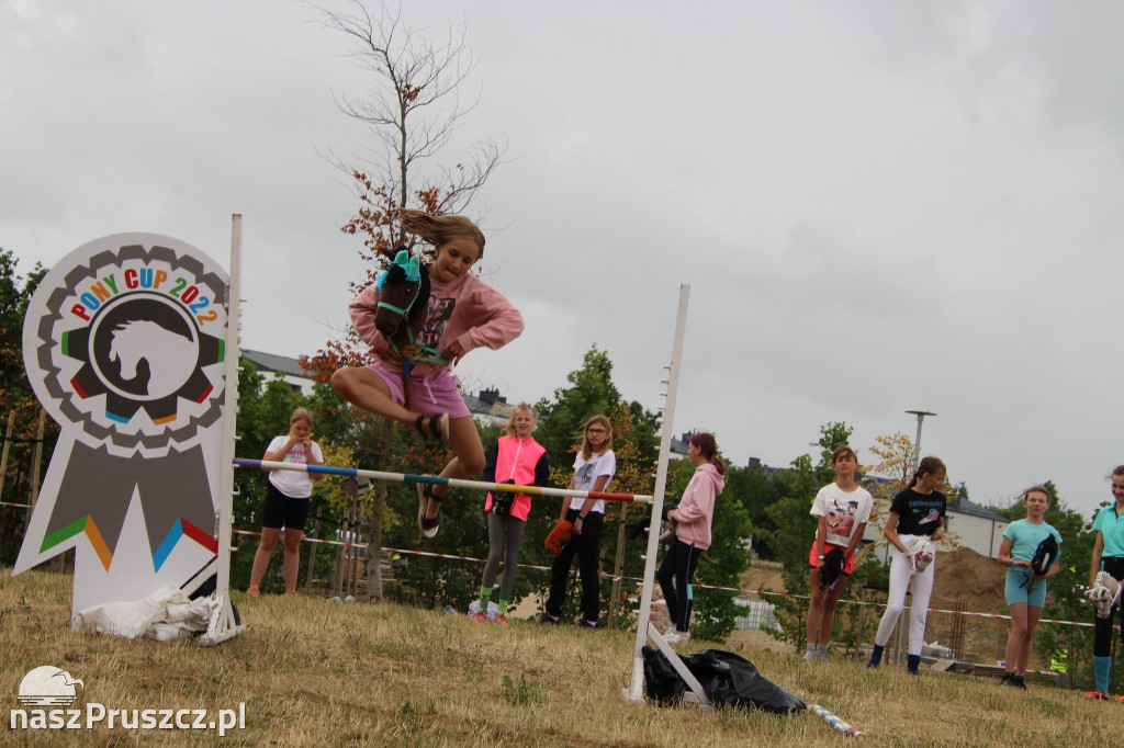Pony Cup w Pruszczu Gdański