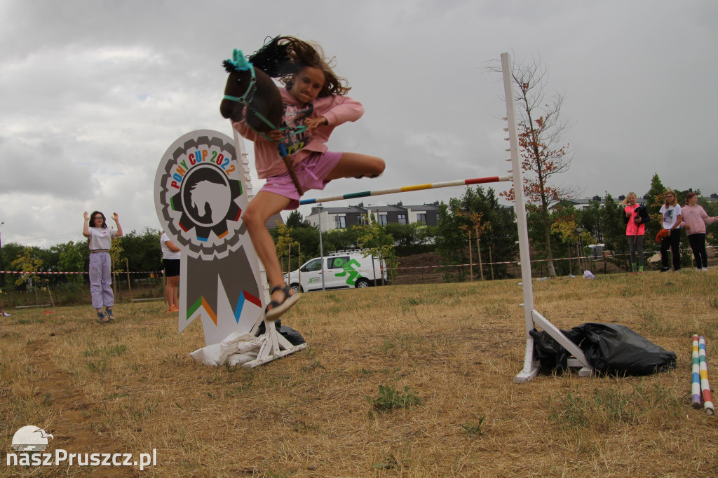 Pony Cup w Pruszczu Gdański