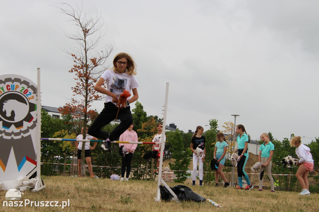 Pony Cup w Pruszczu Gdański