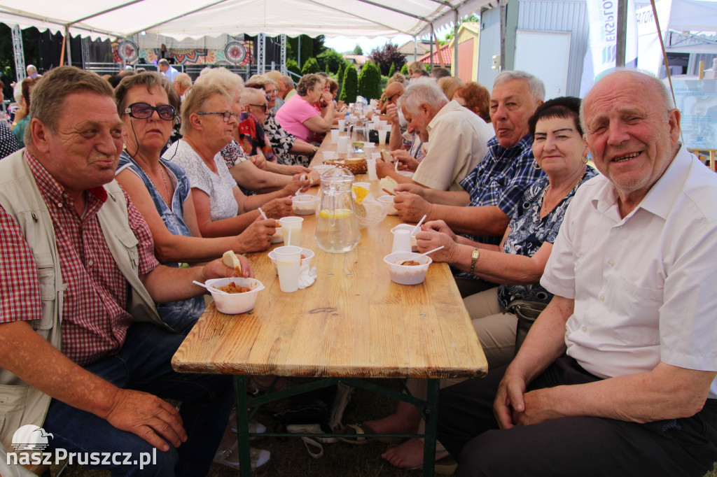 Letni Bal Seniora w Cieplewie
