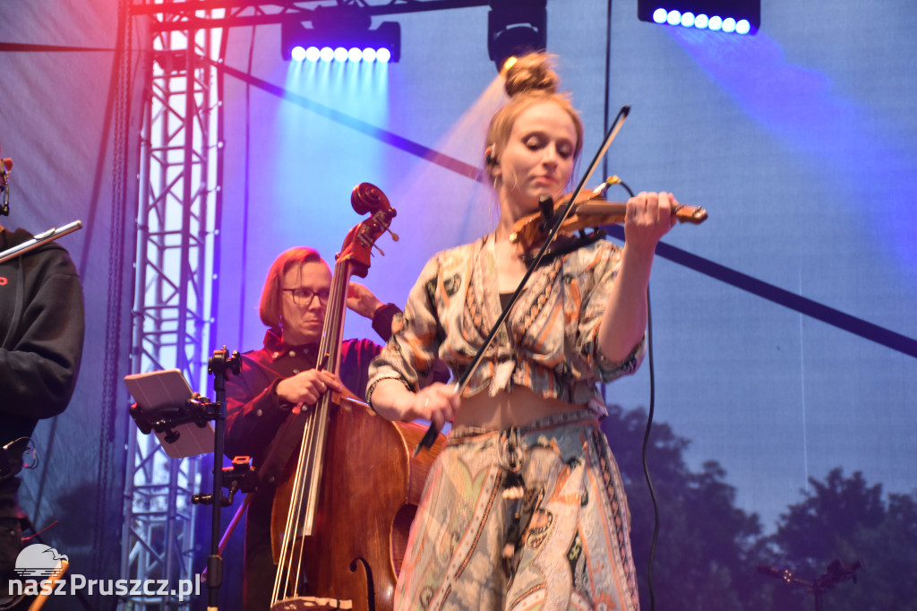 KSU - Faktoria Kultury