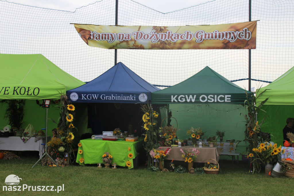 Święto plonów w gminie Suchy Dąb