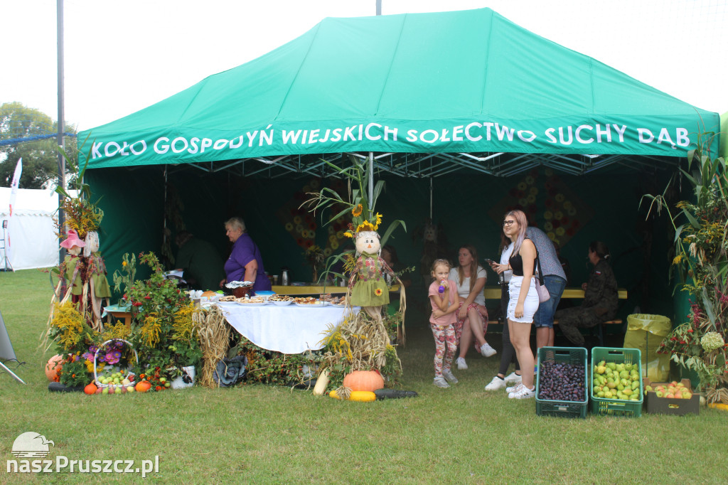 Święto plonów w gminie Suchy Dąb