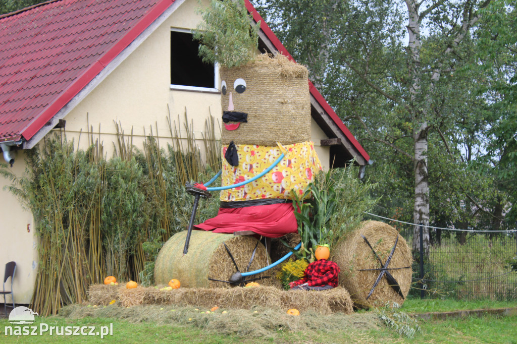 Święto plonów w gminie Suchy Dąb