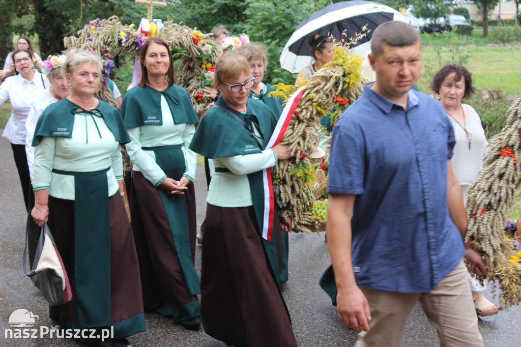 Święto plonów w gminie Suchy Dąb