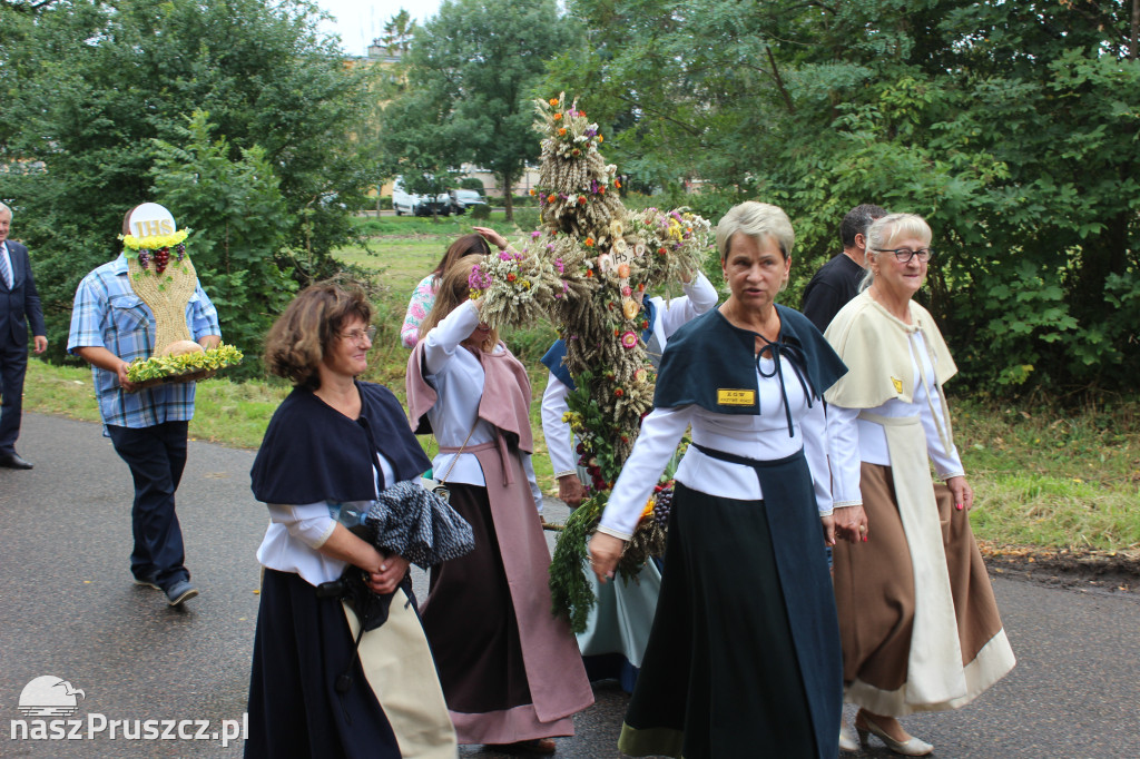 Święto plonów w gminie Suchy Dąb