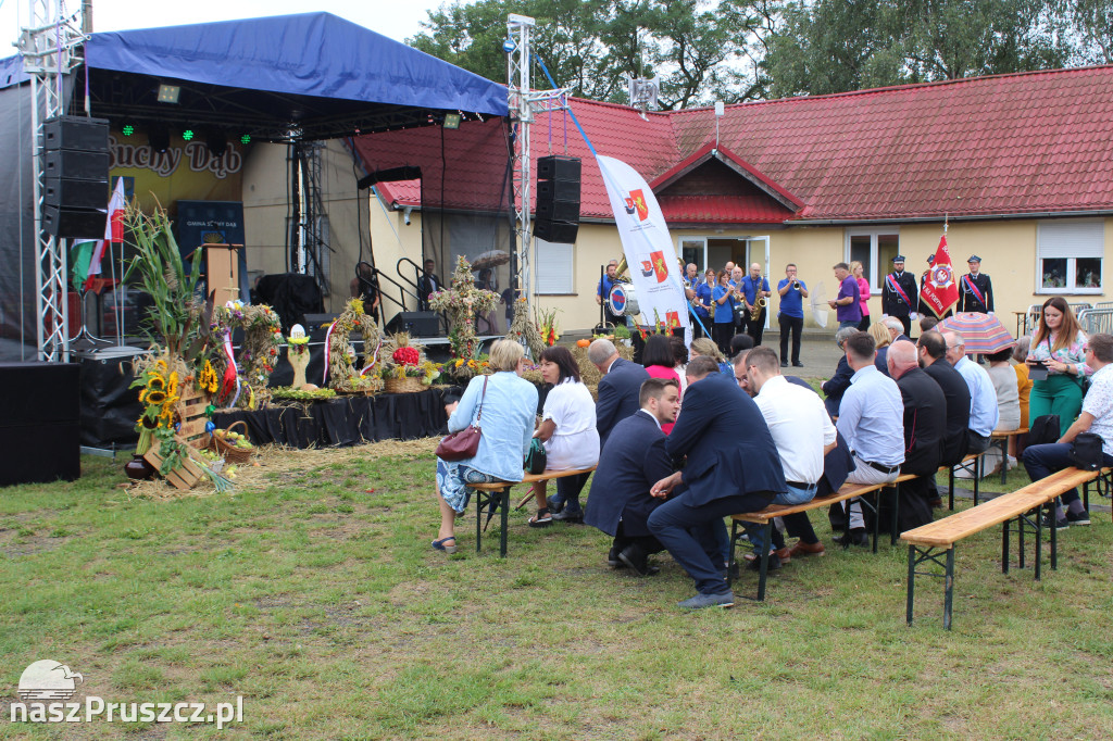 Święto plonów w gminie Suchy Dąb