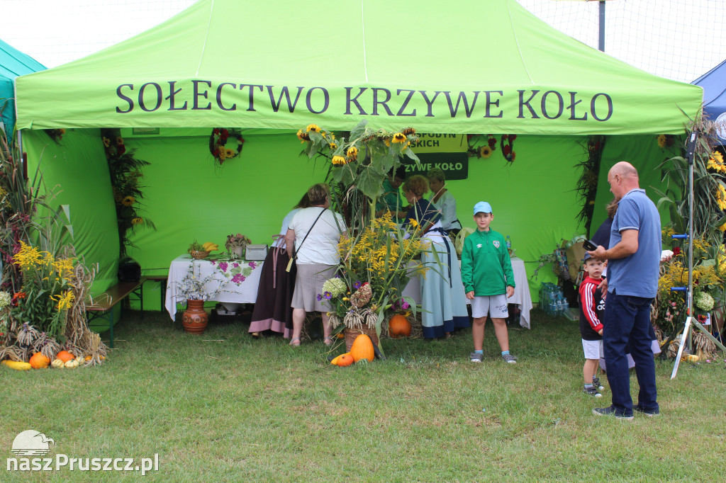 Święto plonów w gminie Suchy Dąb