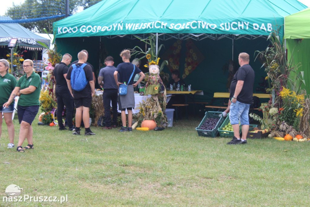 Święto plonów w gminie Suchy Dąb