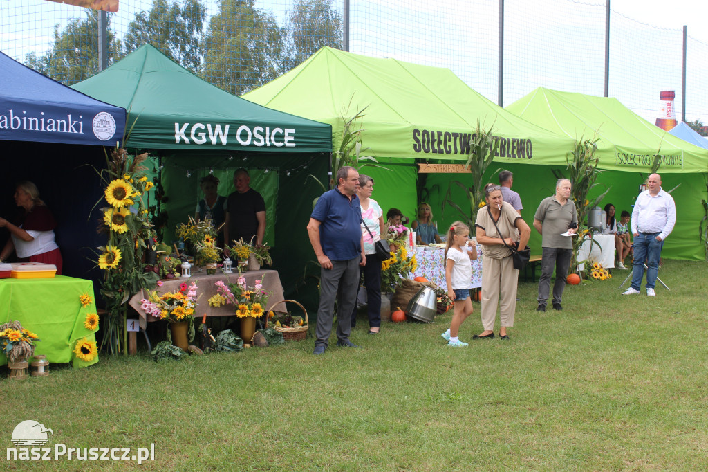 Święto plonów w gminie Suchy Dąb