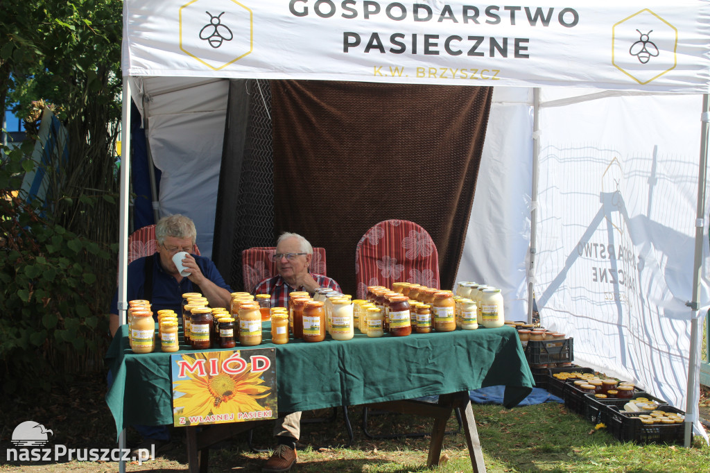 Dożynki w gminie Cedry Wielkie